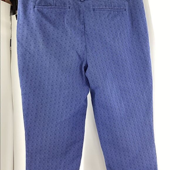 Hilary Radley Blue Combo Cropped Pants Size 14 - Picture 11 of 17